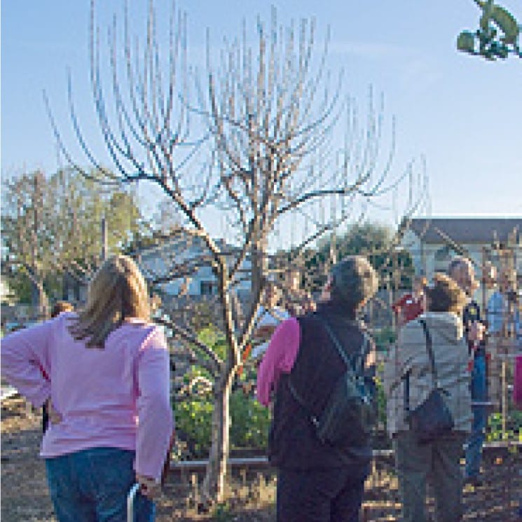 Find a green gardener