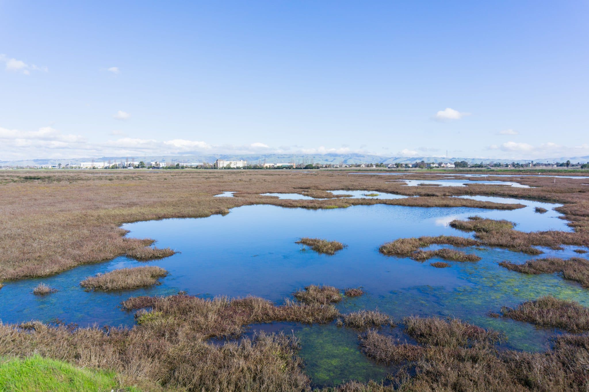 Watershed Watch Bayland Houses