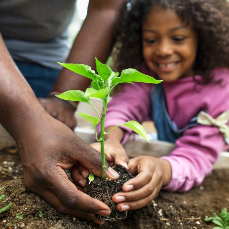 Girl planting