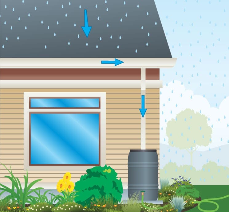 Rain barrel graphic