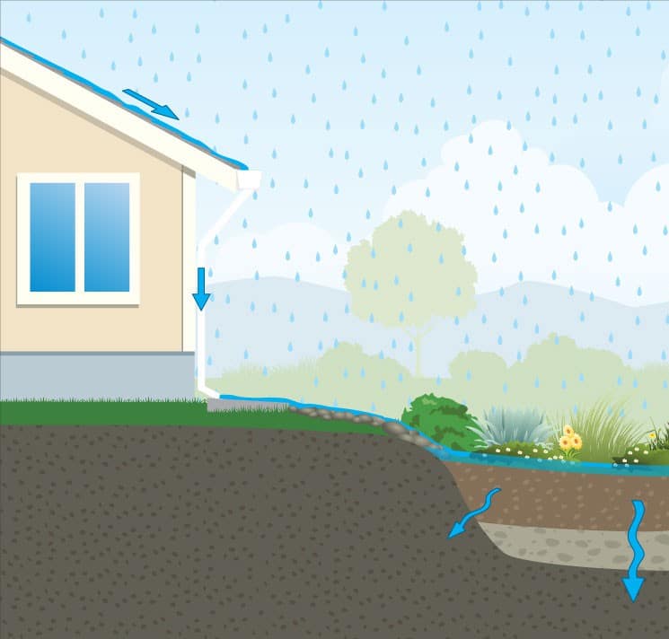 Rain garden graphic